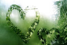 英格兰队横扫对手，实现欧洲足球赛六连胜！