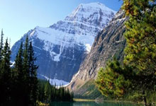 玻利维亚女足球员在南美杯上实现逆袭