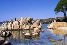 比赛结束后,多特蒙德取得胜利